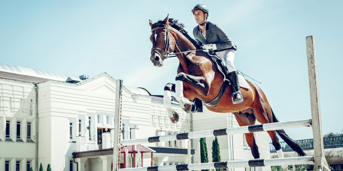 EQUITAZIONE SALTO OSTACOLI BO* Eventi Sportivi Sport In Zona